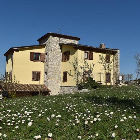 Agriturismo Terra E Sapori Campodipietra Exteriér fotografie