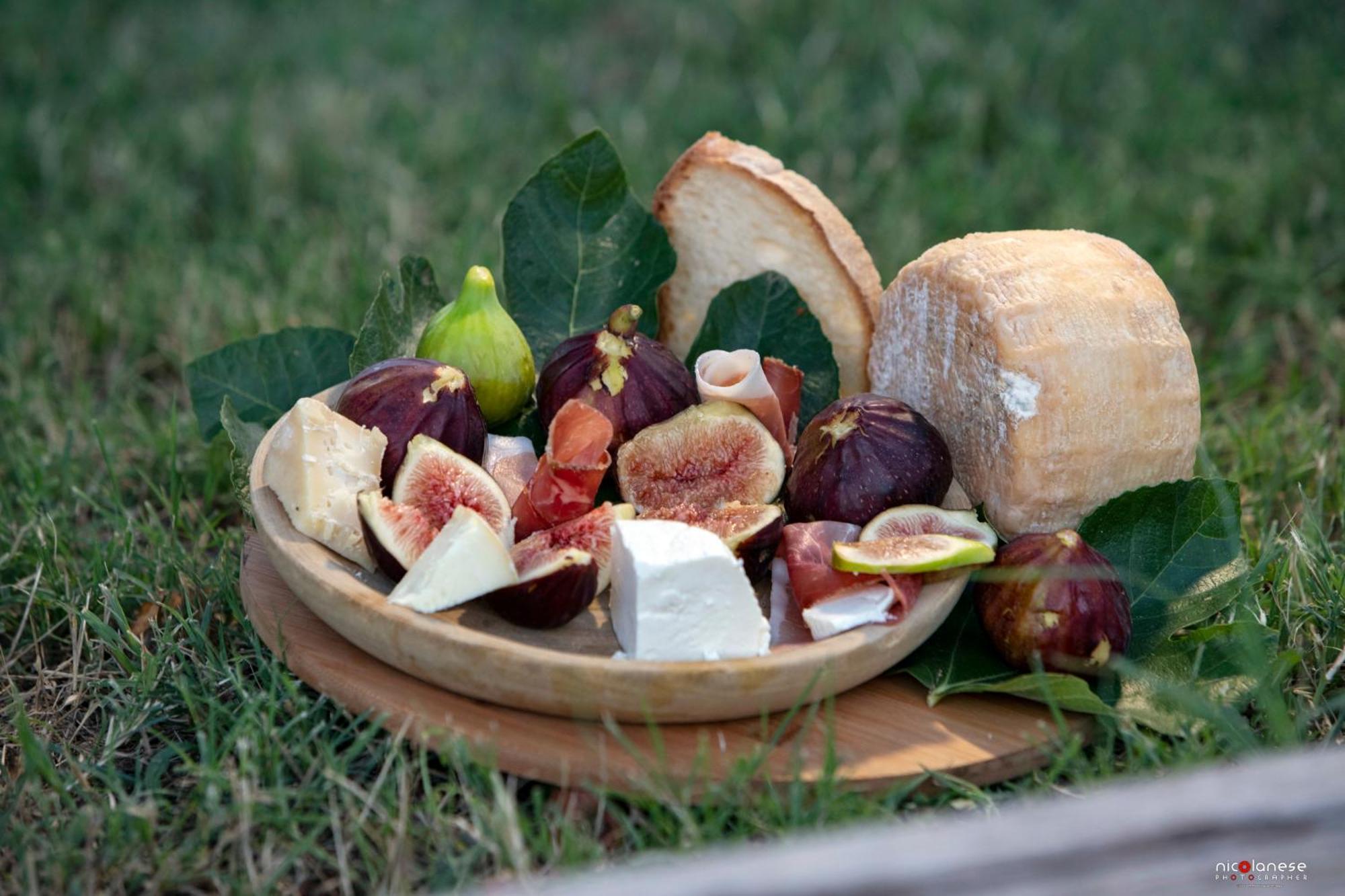 Agriturismo Terra E Sapori Campodipietra Exteriér fotografie
