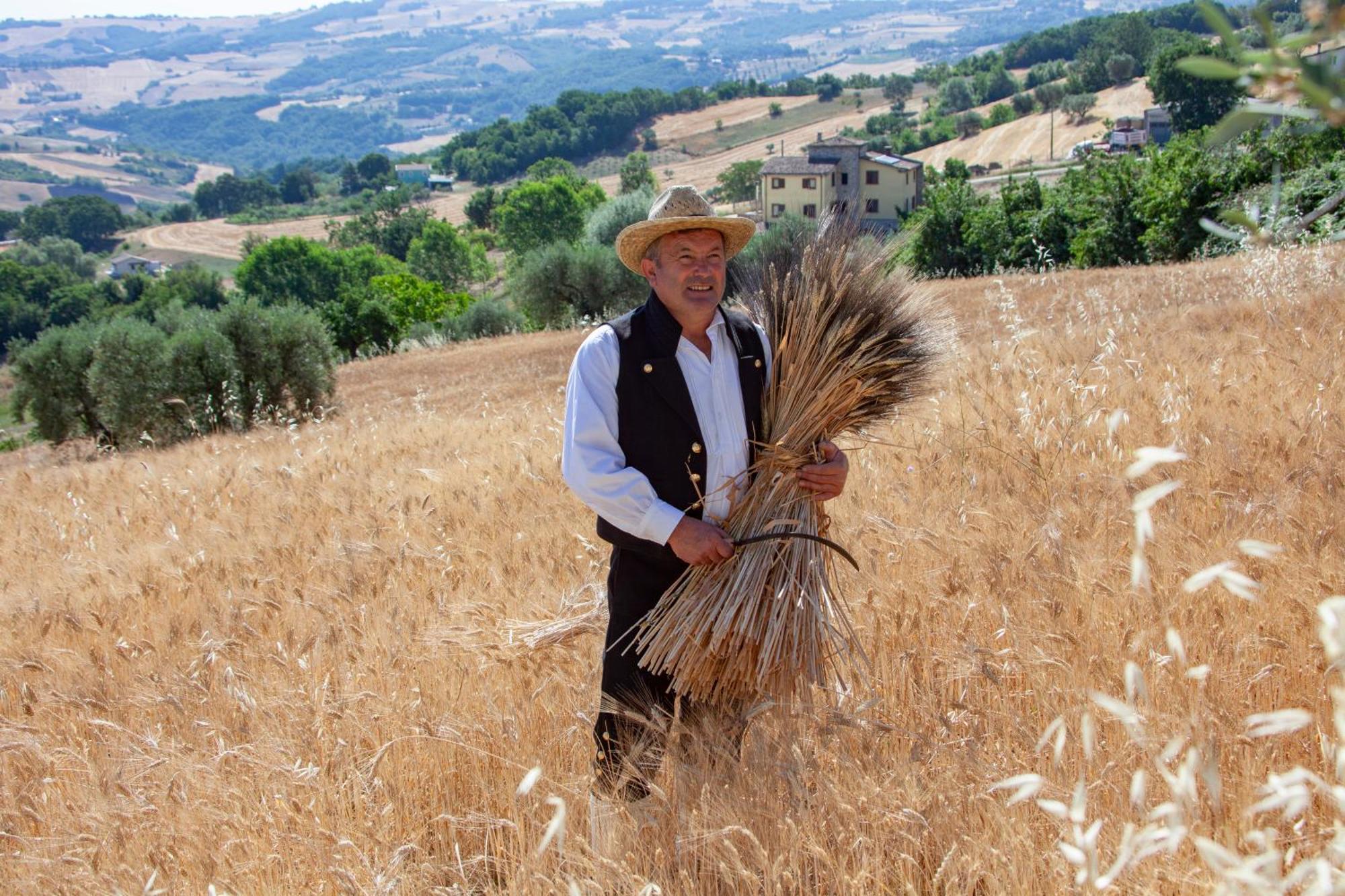 Agriturismo Terra E Sapori Campodipietra Exteriér fotografie