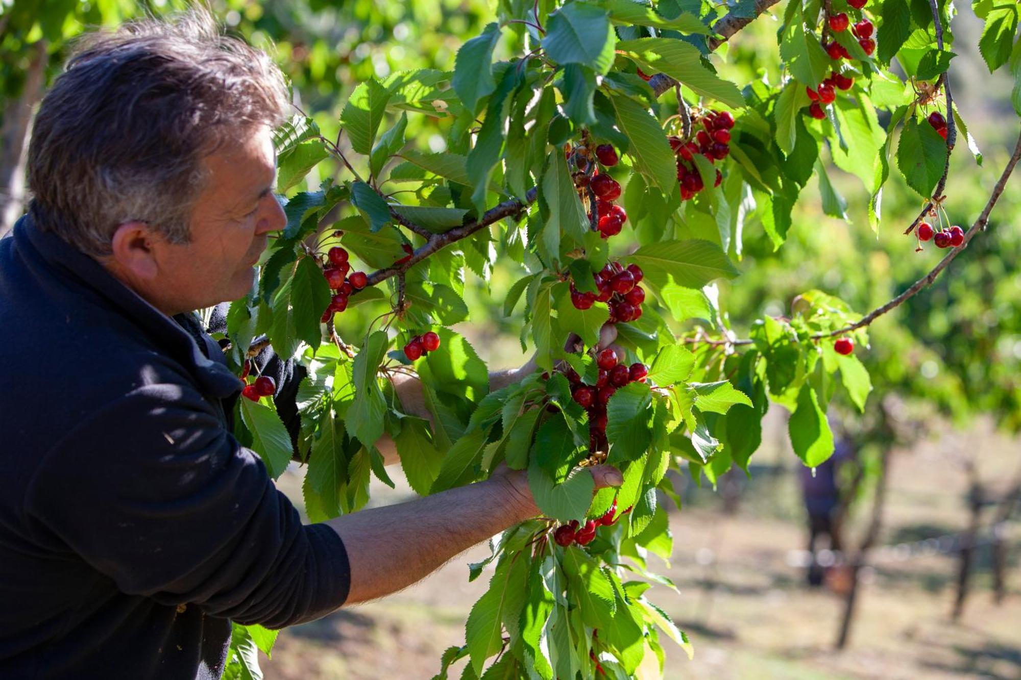 Agriturismo Terra E Sapori Campodipietra Exteriér fotografie