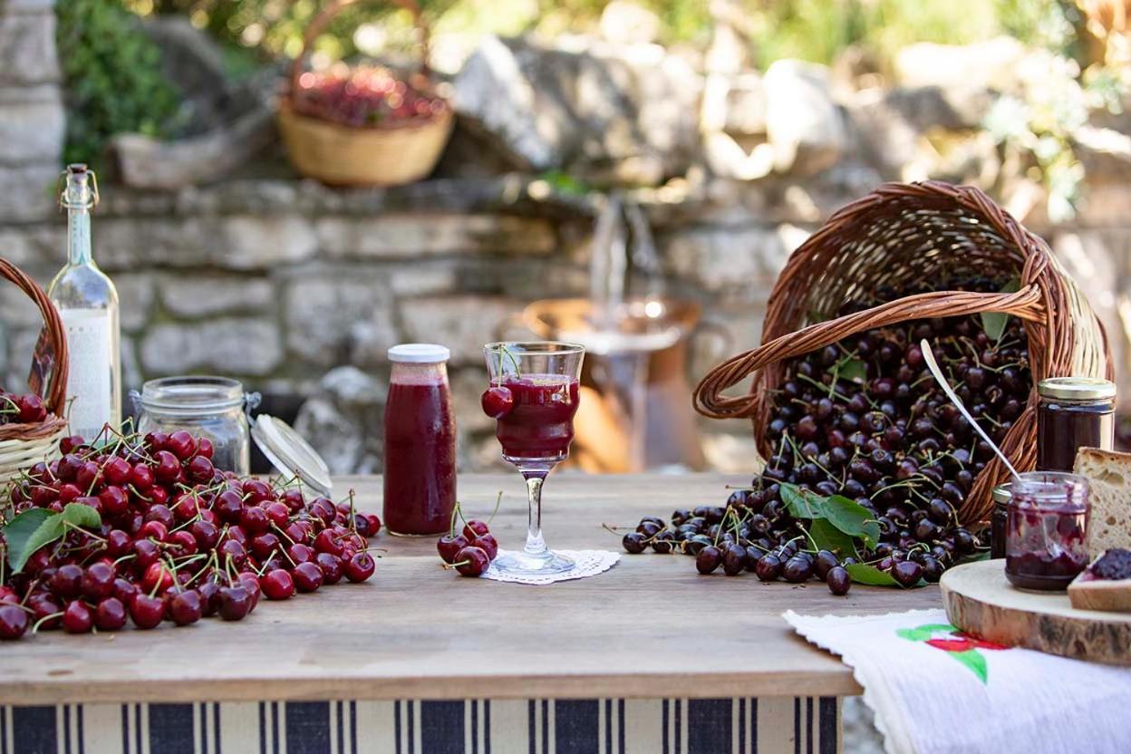 Agriturismo Terra E Sapori Campodipietra Exteriér fotografie