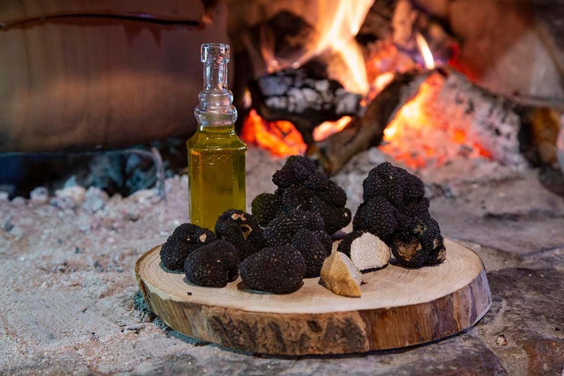 Agriturismo Terra E Sapori Campodipietra Exteriér fotografie